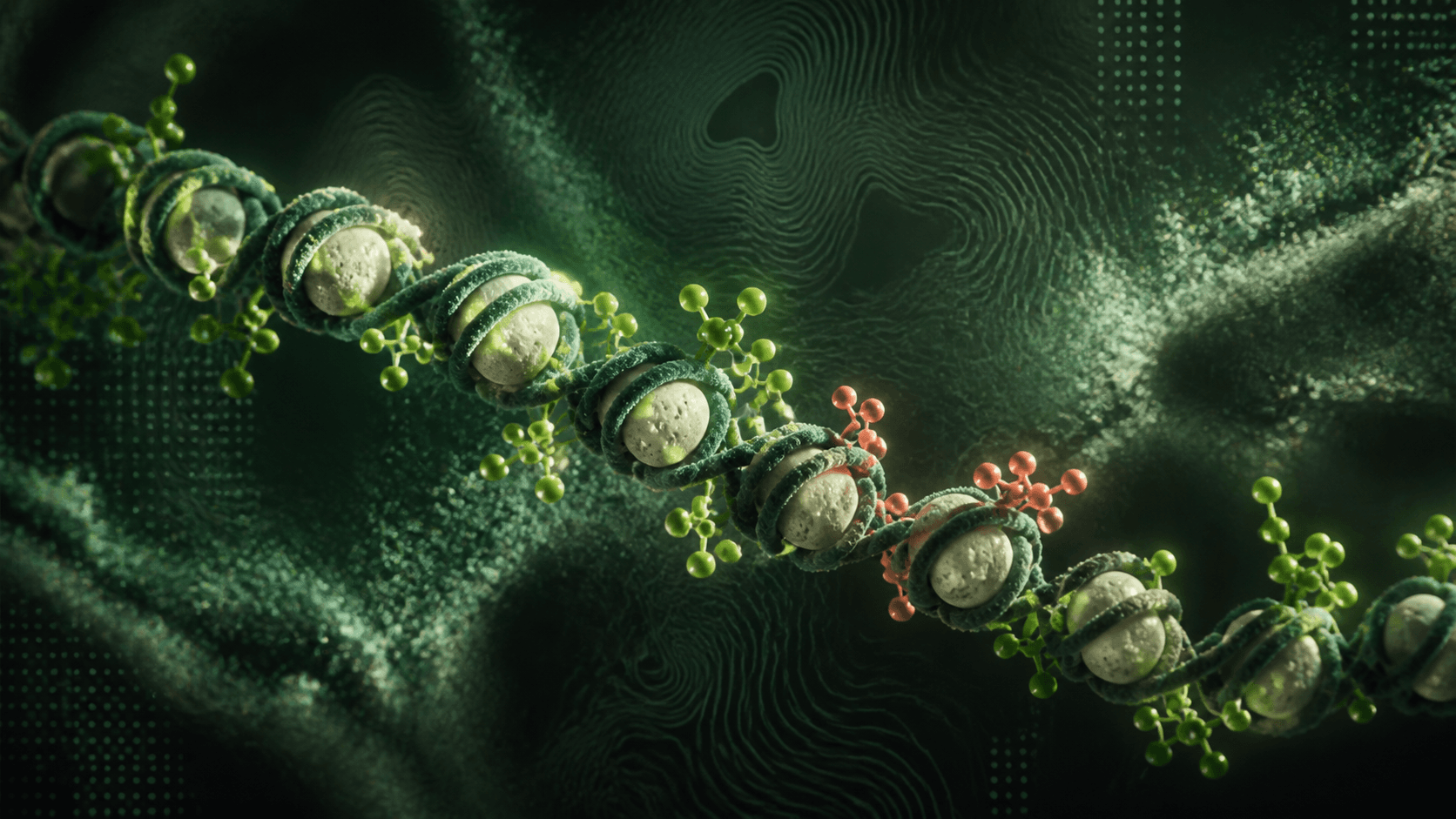 Conceptual chromatin fiber with epigenetic markers